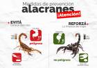Alacranes: Medidas de Prevención