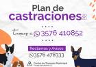 Comienza el Plan de Castraciones 2020