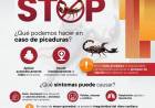 MEDIDAS DE PREVENCIÓN PARA EVITAR PICADURAS DE ALACRANES
