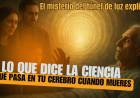  Tu cerebro segundos antes de morir - ¿ilusión o vida después de la muerte?