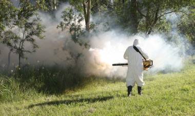 COMIENZAN LAS FUMIGACIONES CONTRA EL MOSQUITO VECTOR DEL DENGUE