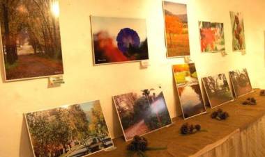 Muestra de Arte Itinerante