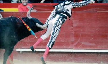 Que viva el Toro !!!!!! El Torero tuvo que abandonar la faena 