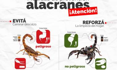 Alacranes: Medidas de Prevención