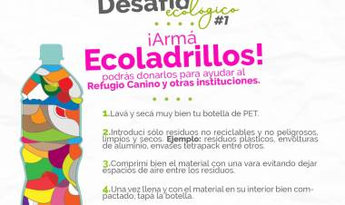 Dos nuevos Desafíos Ecológicos para ayudar a instituciones y al planeta