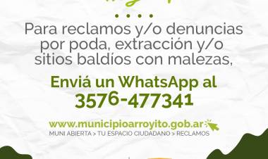 CUIDEMOS EL AMBIENTE: NUEVO NÚMERO DEL ÁREA DE AMBIENTE Y ENERGÍA