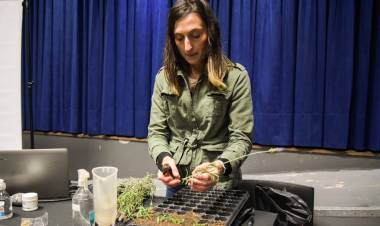 CAPÍTULO 2 DEL CURSO DE PRODUCCIÓN DE PLANTAS: SIEMBRA Y ESQUEJADOS ( VIDEO )