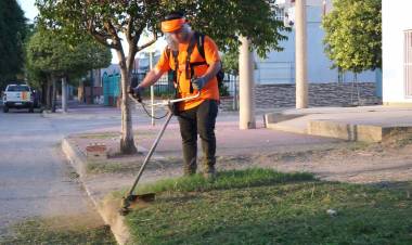 MEJORAS EN EL SERVICIO DE CORTE DE PASTO EN ESPACIOS VERDES
