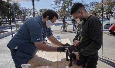 FINALIZÓ LA PRIMERA ETAPA DE LA CAMPAÑA DE VACUNACIÓN ANTIRRÁBICA