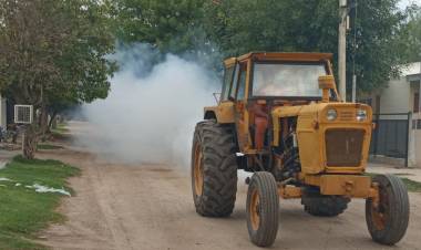 EL MUNICIPIO CONTINUA CON LA FUMIGACIÓN ESPACIAL CONTRA EL MOSQUITO AEDES AEGYPTI