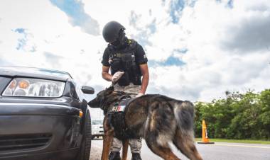 FUERON INTERCEPTADOS POR LA FPA CUANDO SE DIRIGÍAN CON DROGAS HACIA SAN FRANCISCO. DOS DETENIDOS 