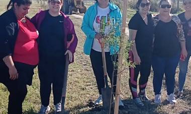 EL MUNICIPIO JUNTO A OTRAS INSTITUCIONES DE LA CUIDAD PLANTARON ÁRBOLES AUTÓCTONOS