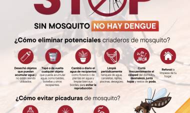 MEDIDAS DE PREVENCIÓN PARA EVITAR PROPAGACIÓN DEL DENGUE