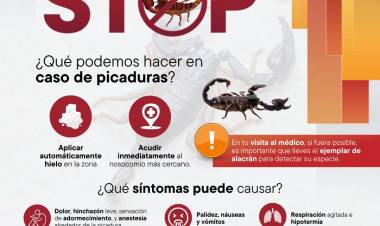 MEDIDAS DE PREVENCIÓN PARA EVITAR PICADURAS DE ALACRANES