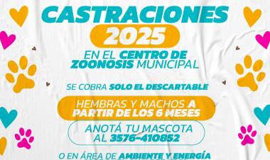 Sacá tu turno para castrar a tu mascota en el Centro de Zoonosis Municipal