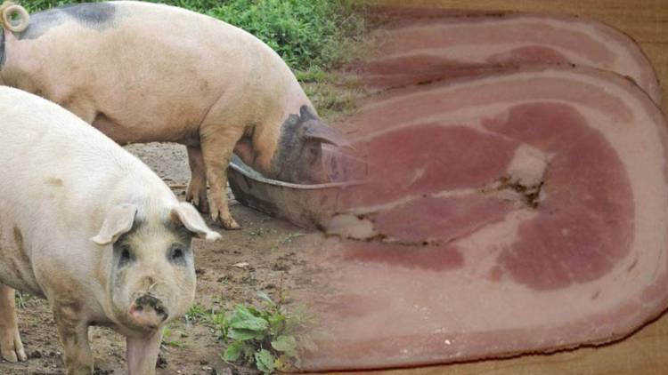 Alerta por dos casos sospechosos de triquinosis en Córdoba