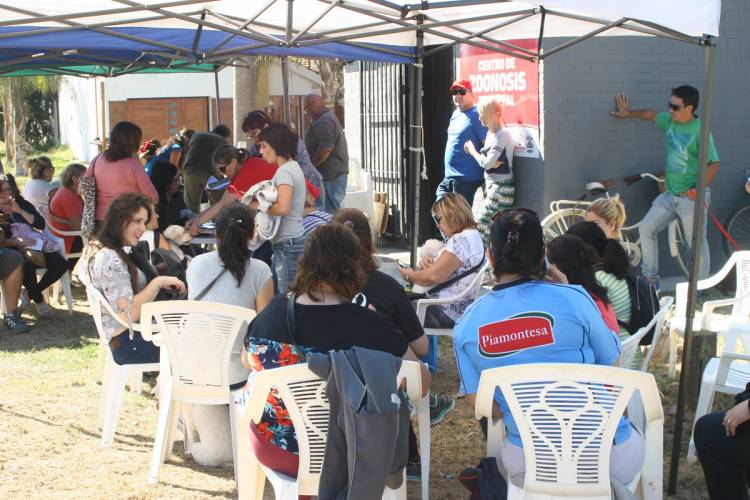 Comenzó a trabajar el  Quirógrafo Móvil  del Programa "Mascotas Argentinas"