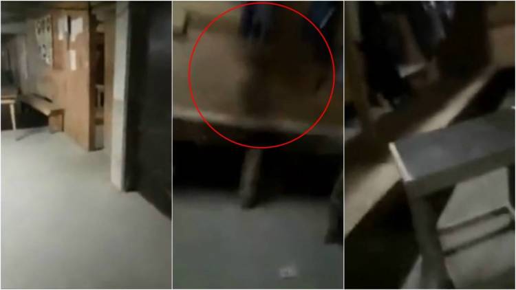 Video muestra a un vigilador atormentado por un "fantasma"
