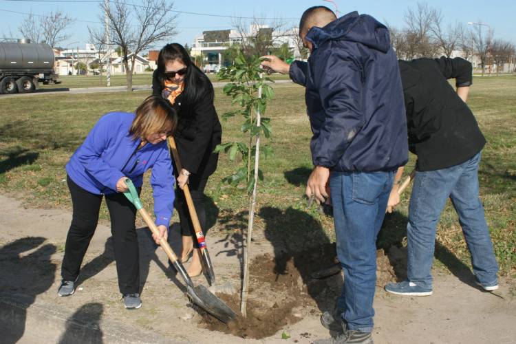 Plantación de árboles en el Día Mundial del Medio Ambiente