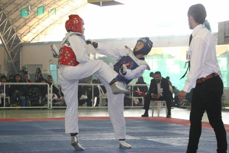 Se realizó en Taekwondo el Torneo Apertura 2018 en nuestra ciudad