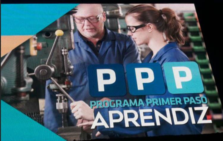 Se encuentran disponibles los formularios del PPP Primer Paso y Programa Pila