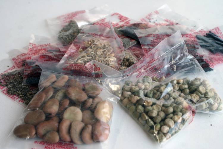 Llegan semillas del programa Pro-Huerta