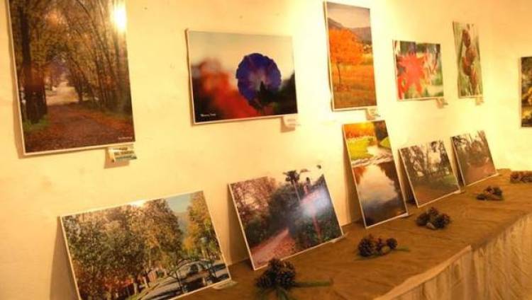 Muestra de Arte Itinerante