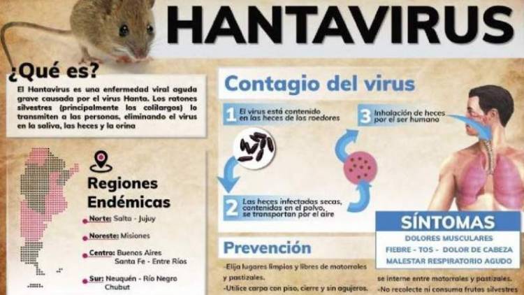Hantavirus: actualización epidemiológica y clínica  “Hospital Dr.  Carlos J, Rodriguez” 