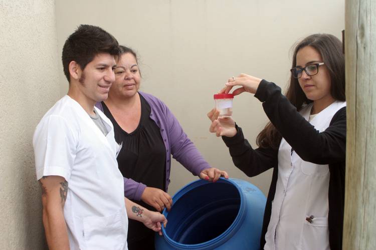 Campaña de todos contra el Dengue