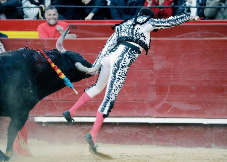 Que viva el Toro !!!!!! El Torero tuvo que abandonar la faena 