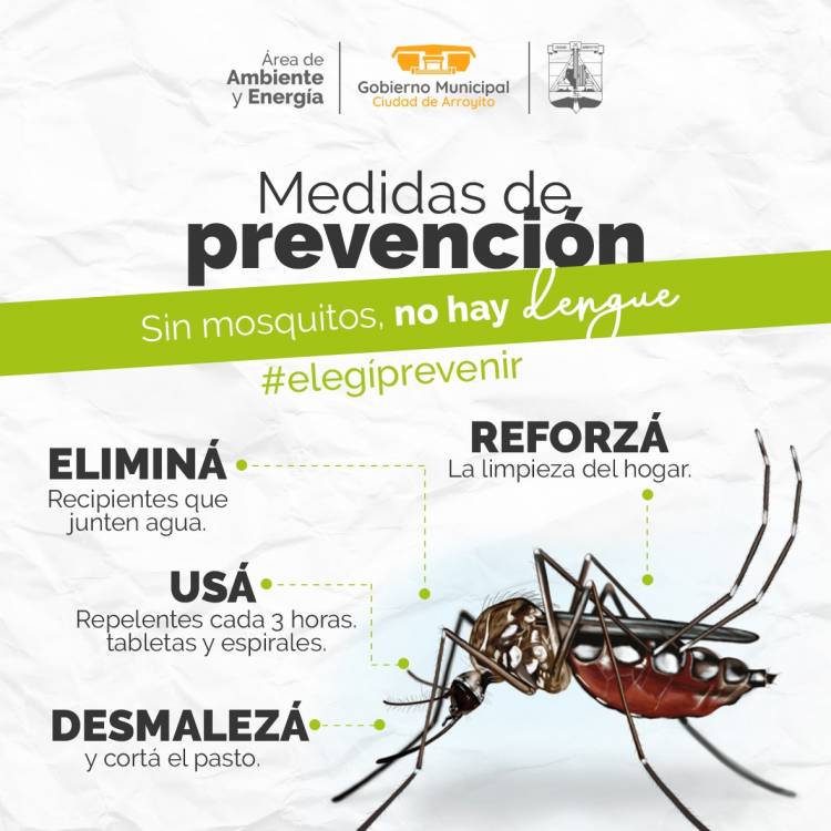 Cronograma de fumigaciones contra los mosquitos en Arroyito, La Curva y El Fuertecito