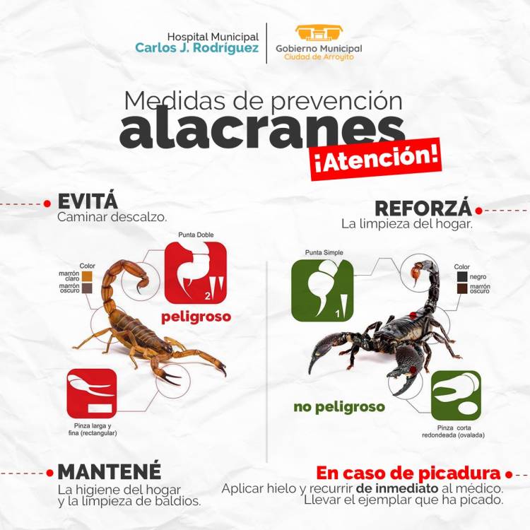Alacranes: Medidas de Prevención