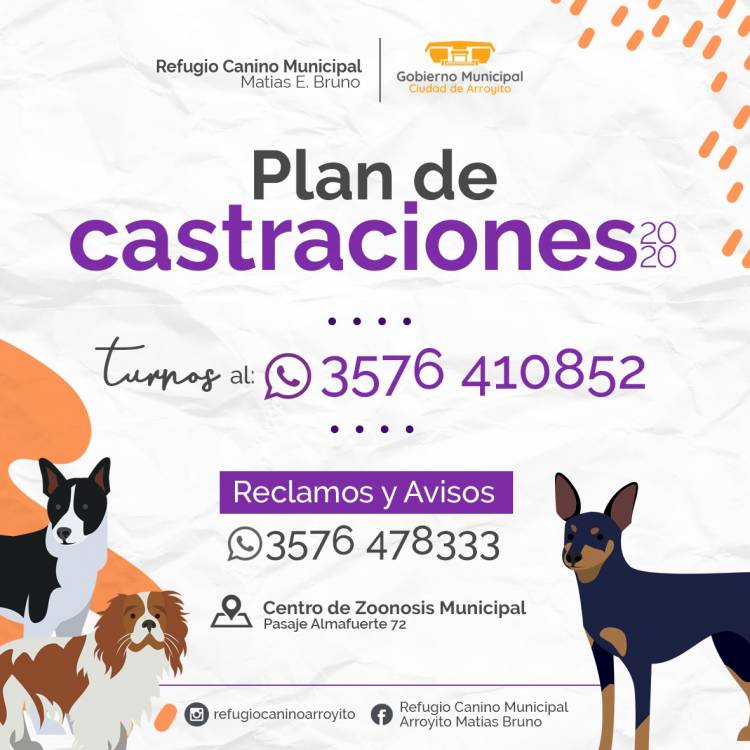 Comienza el Plan de Castraciones 2020