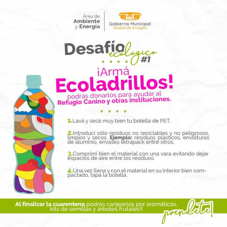 Dos nuevos Desafíos Ecológicos para ayudar a instituciones y al planeta
