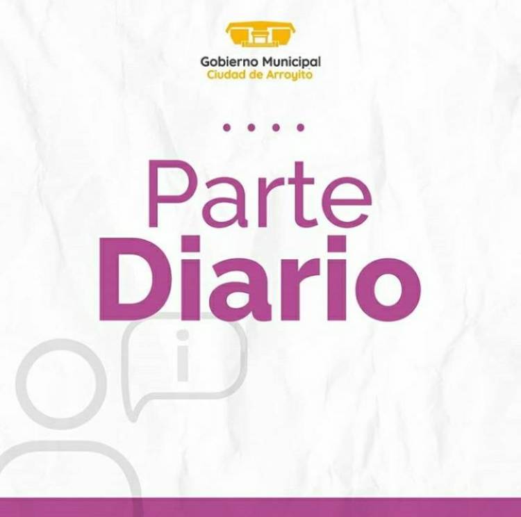 PARTE DIARIO: ÚLTIMAS 24 HORAS. 3 DE MAYO DE 2020