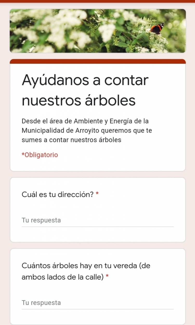 AMBIENTE: AYUDANOS A CONTAR NUESTROS ÁRBOLES!