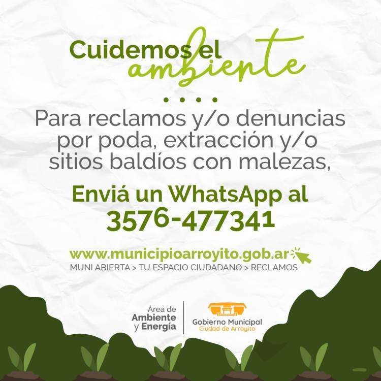 CUIDEMOS EL AMBIENTE: NUEVO NÚMERO DEL ÁREA DE AMBIENTE Y ENERGÍA