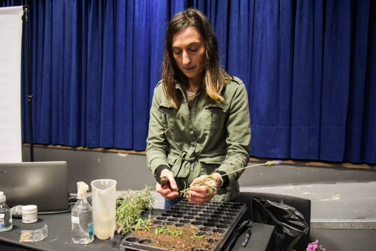 CAPÍTULO 2 DEL CURSO DE PRODUCCIÓN DE PLANTAS: SIEMBRA Y ESQUEJADOS ( VIDEO )