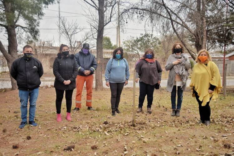 EN LA SEMANA DEL ÁRBOL ESTAMOS FORESTANDO LAS ESCUELAS