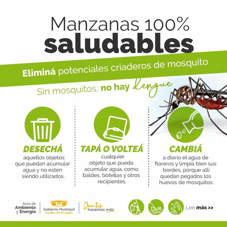 ELIMINÁ POTENCIALES CRIADEROS DE MOSQUITOS Y PREVENÍ EL DENGUE