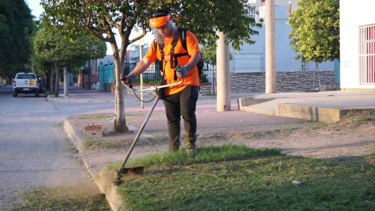 MEJORAS EN EL SERVICIO DE CORTE DE PASTO EN ESPACIOS VERDES