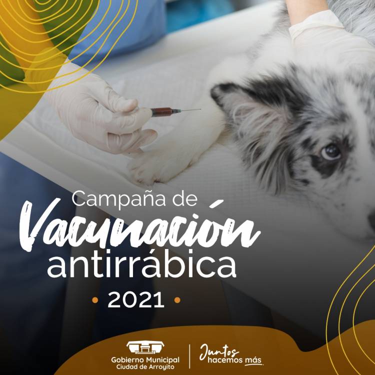 DESPUÉS DE MUCHOS AÑOS, ARROYITO, VUELVE A REALIZAR CAMPAÑA DE VACUNACIÓN ANTIRRÁBICA MASIVAS Y GRATUITAS