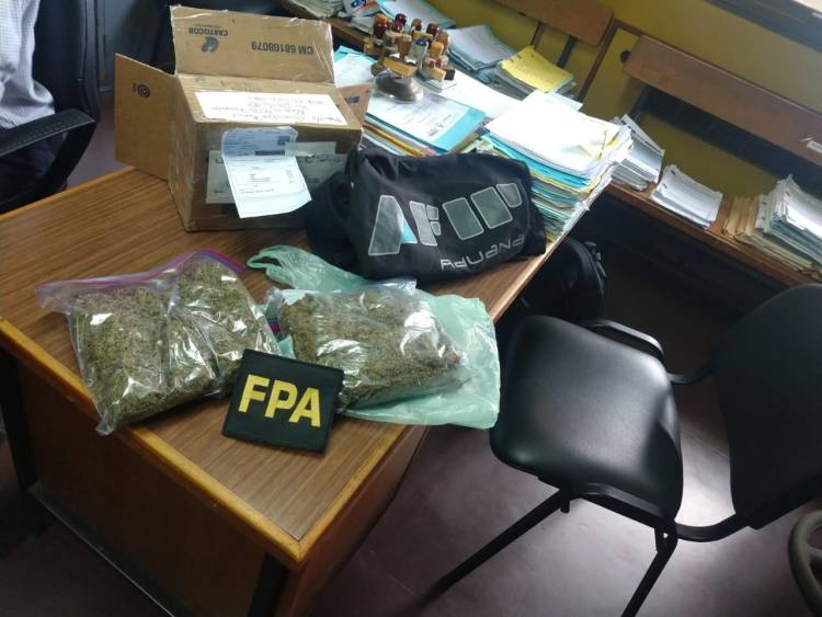 FPA Y AFIP SECUESTRARON DROGAS EN UN DEPÓSITO DE ENCOMIENDAS