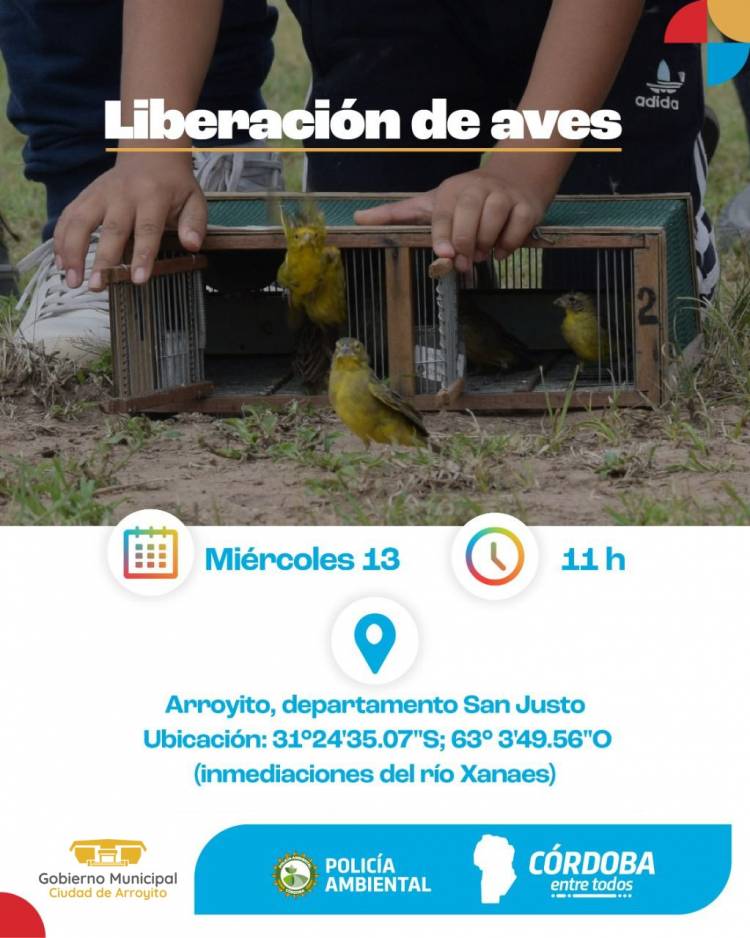 POLICÍA AMBIENTAL LIBERARÁ 54 AVES SILVESTRES