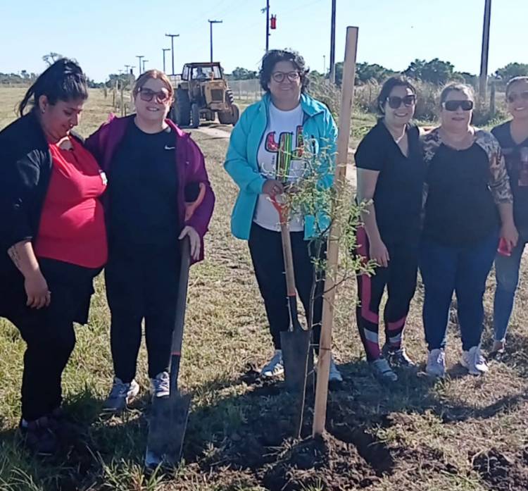 EL MUNICIPIO JUNTO A OTRAS INSTITUCIONES DE LA CUIDAD PLANTARON ÁRBOLES AUTÓCTONOS
