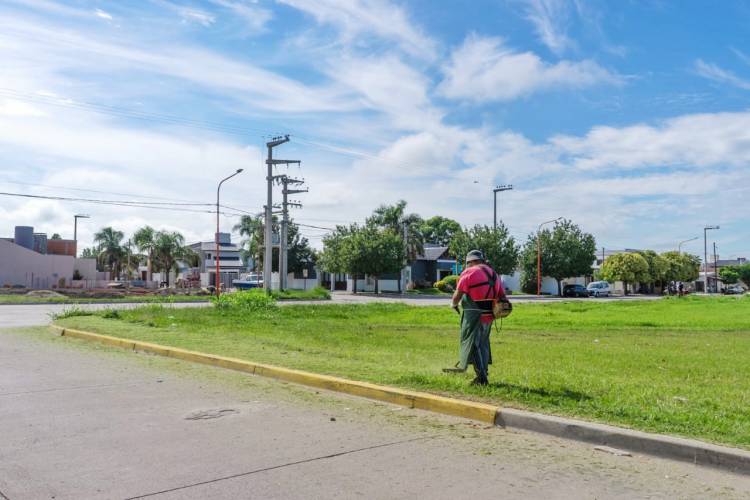 TRAMITE PARA VECINOS QUE SEAN PROPIETARIOS DE TERRENOS BALDIOS