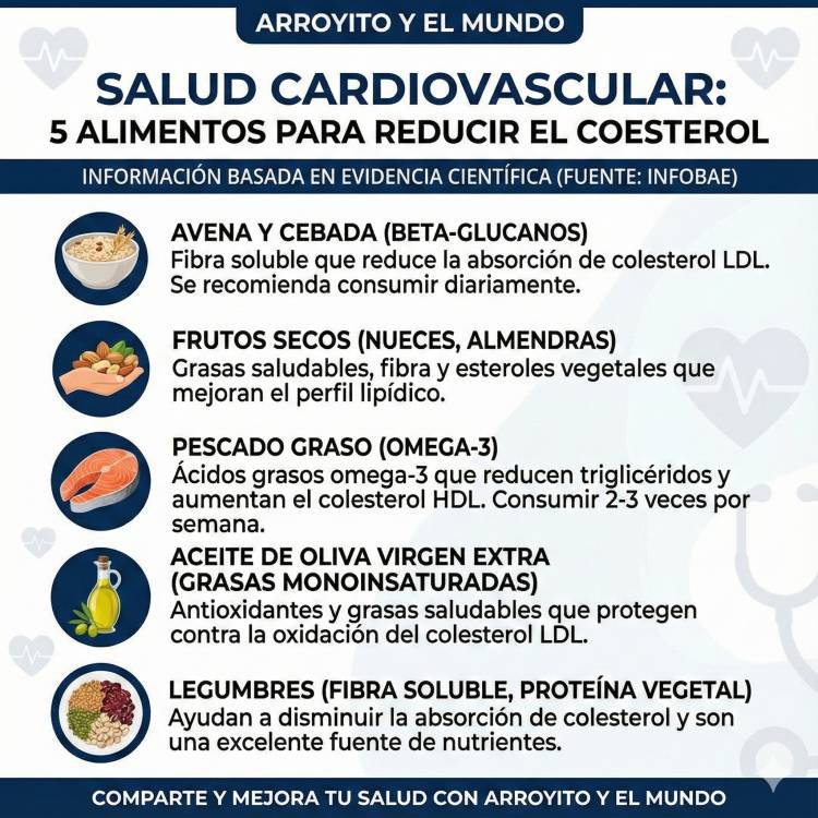 Cinco alimentos respaldados por la ciencia que ayudan a bajar el colesterol y cuidar el corazón